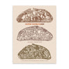 Super Sourdough: The Foolproof Guide to Making World-Class Bread at Home (Hardcover)