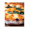 Flour Water Salt Yeast: The Fundamentals of Artisan Bread and Pizza (Hardcover)