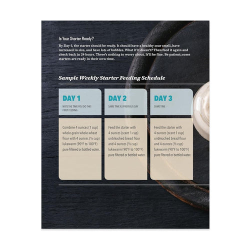 Starter Sourdough: The Step-By-Step Guide to Sourdough Starters, Baking Loaves, Baguettes, Pancakes, and More (Paperback)